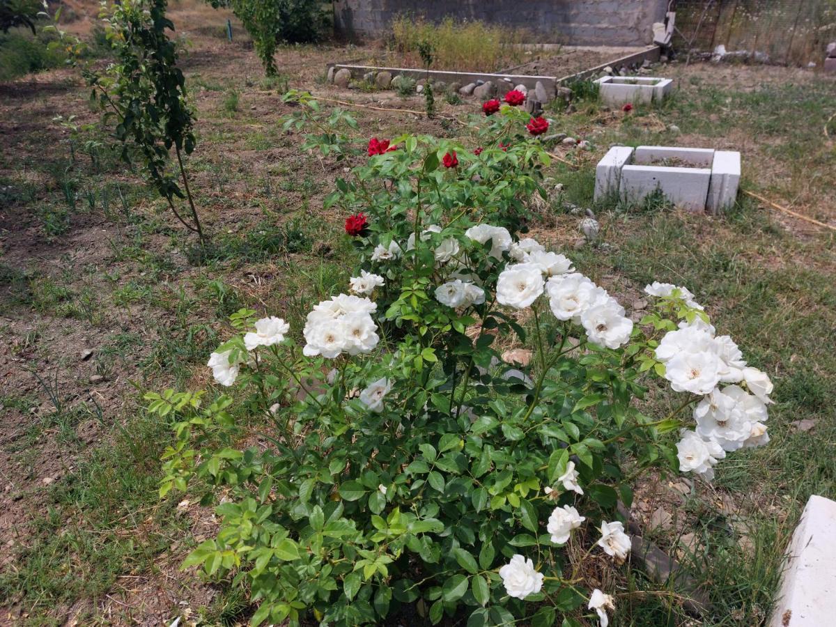 Green House In Vazisubani Тбилиси Екстериор снимка